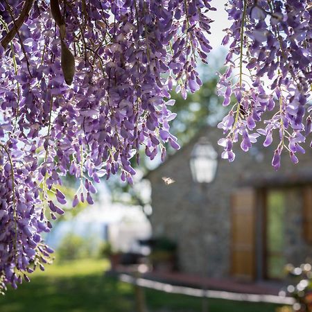 Le Cetinelle ξενώνας Greve in Chianti Εξωτερικό φωτογραφία