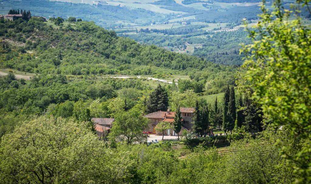Le Cetinelle ξενώνας Greve in Chianti Εξωτερικό φωτογραφία