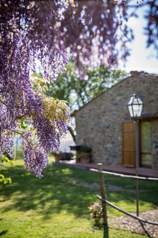 Le Cetinelle ξενώνας Greve in Chianti Εξωτερικό φωτογραφία
